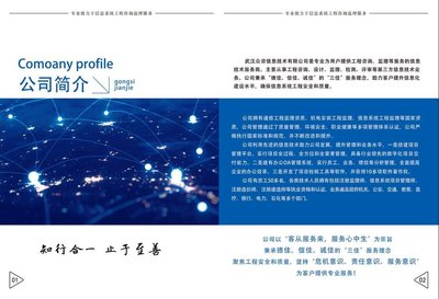 武漢眾咨信息技術有限公司 信息技術咨詢服務的典范與實踐